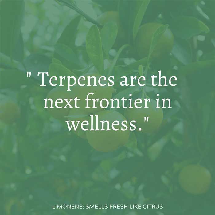 Terpenes are the next frontier in wellness