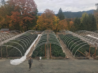 Healthy Roots Hemp Farming Industry