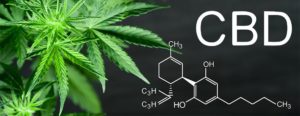 What is CBD