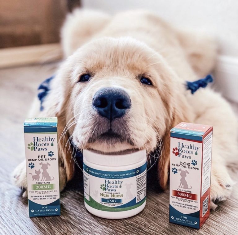 CBD for your pets