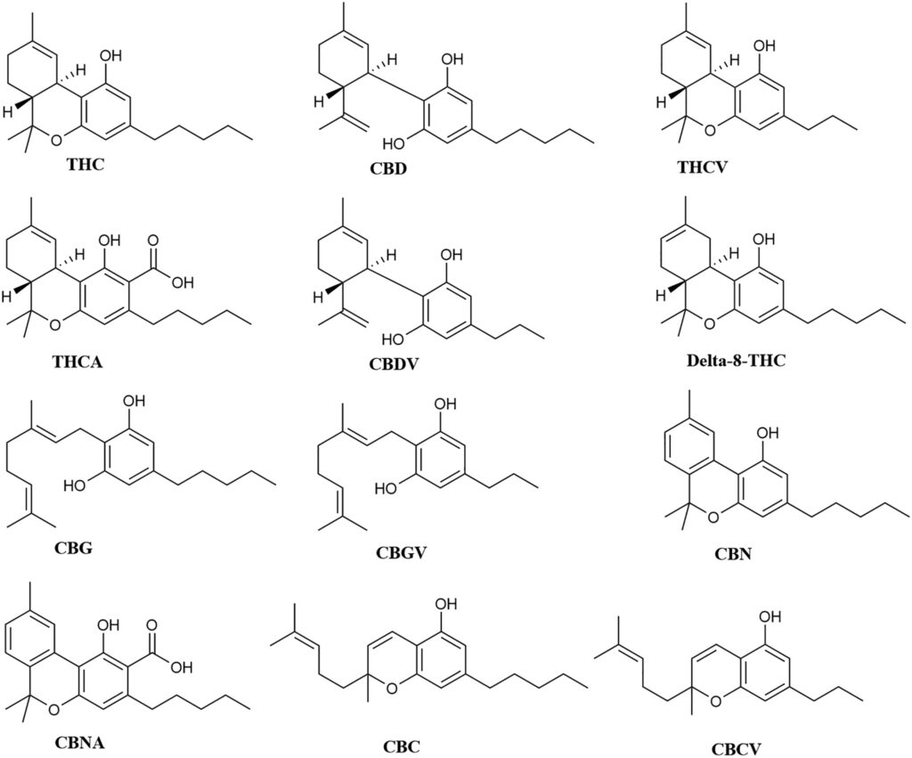 The Structure of Cannabinoids found in Full Spectrum CBD, including CBD, THC, THCV, THCA, CBDV, Delta-8-THC, CBG, CBGV, CBN, CBNA, CBC, and CBCV.