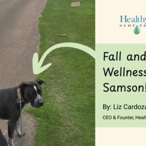My Fall and Winter Routine with CBD for Dogs